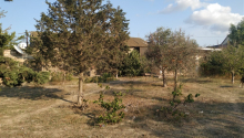 4 sot Torpaq, Satış, Bakı, Xəzər