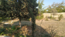 4 sot Torpaq, Satış, Bakı, Xəzər
