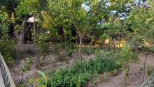 9 otaqlı Villa / Həyət evi, Satış, Bakı, Nizami