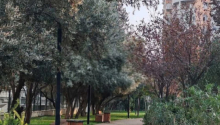 2 otaqlı Köhnə tikili, Satış, Bakı, Yasamal, 20 yanvar
