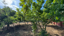 12 sot Torpaq, Satış, Bakı, Xəzər