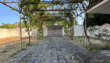 5 otaqlı Villa / Həyət evi, Satış, Xaçmaz