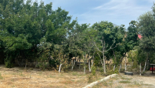 6 sot Torpaq, Satış, Abşeron