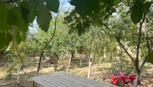 6 sot Torpaq, Satış, Abşeron