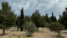  otaqlı Bağ evləri, Satış, Bakı, Binəqədi