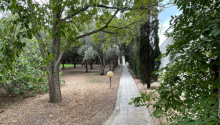  otaqlı Bağ evləri, Satış, Bakı, Binəqədi