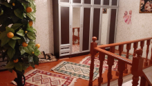 5 otaqlı Villa / Həyət evi