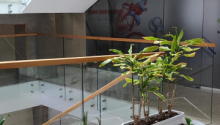 1 otaqlı Ofis, Kirayə (aylıq), Bakı, Nərimanov, Nəriman Nərimanov