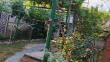 3 otaqlı Villa / Həyət evi, Satış, Bakı, Sabunçu
