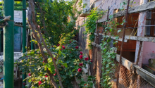 3 otaqlı Villa / Həyət evi, Satış, Bakı, Sabunçu