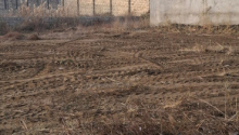 6 sot Torpaq, Satış, Bakı, Xəzər, Koroğlu