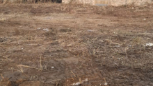 6 sot Torpaq, Satış, Bakı, Xəzər, Koroğlu