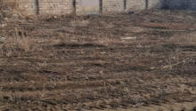 6 sot Torpaq, Satış, Bakı, Xəzər, Koroğlu