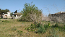 12 sot Torpaq, Satış, Bakı, Sabunçu