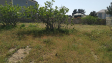 12 sot Torpaq, Satış, Bakı, Sabunçu