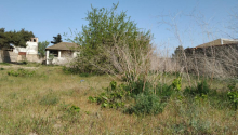12 sot Torpaq, Satış, Bakı, Sabunçu
