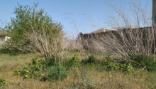 12 sot Torpaq, Satış, Bakı, Sabunçu