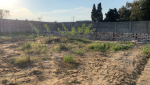 6 sot Torpaq, Satış, Bakı, Xəzər, Koroğlu