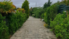 3 otaqlı Bağ evləri, Kirayə (gündəlik), Bakı, Xəzər, Koroğlu