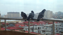 2 otaqlı Yeni tikili, Satış, Bakı, Yasamal, İnşaatçılar