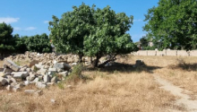 30 sot Torpaq, Satış, Bakı, Xəzər, Koroğlu