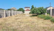 7 sot Torpaq, Satış, Bakı, Xəzər, Koroğlu