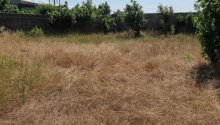 24 sot Torpaq, Satış, Bakı, Xəzər, Koroğlu
