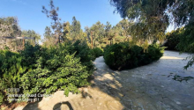 5 sot Torpaq, Satış, Bakı, Xəzər