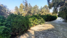 5 sot Torpaq, Satış, Bakı, Xəzər