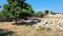 30 sot Torpaq, Satış, Bakı, Xəzər, Koroğlu