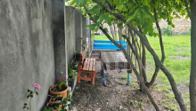 3 otaqlı Villa / Həyət evi, Kirayə (gündəlik), Qax