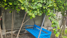 3 otaqlı Villa / Həyət evi, Kirayə (gündəlik), Qax