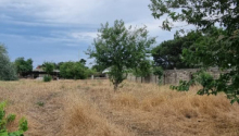8 sot Torpaq, Satış, Bakı, Xəzər, Koroğlu