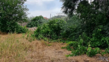 8 sot Torpaq, Satış, Bakı, Xəzər, Koroğlu