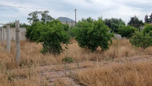 8 sot Torpaq, Satış, Bakı, Xəzər, Koroğlu