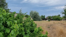 24 sot Torpaq, Satış, Bakı, Xəzər, Koroğlu