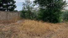 24 sot Torpaq, Satış, Bakı, Xəzər, Koroğlu