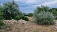 24 sot Torpaq, Satış, Bakı, Xəzər, Koroğlu