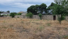24 sot Torpaq, Satış, Bakı, Xəzər, Koroğlu