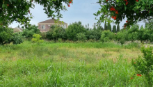 8 sot Torpaq, Satış, Bakı, Xəzər, Koroğlu
