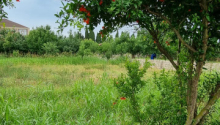 8 sot Torpaq, Satış, Bakı, Xəzər, Koroğlu
