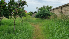 8 sot Torpaq, Satış, Bakı, Xəzər, Koroğlu