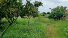 8 sot Torpaq, Satış, Bakı, Xəzər, Koroğlu
