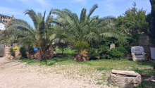 12 m2 Torpaq, Satış, Sumqayıt