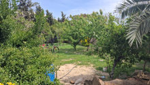 12 m2 Torpaq, Satış, Sumqayıt
