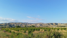 200 sot Torpaq, Satış, Göyçay