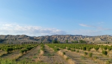 200 sot Torpaq, Satış, Göyçay