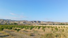 200 sot Torpaq, Satış, Göyçay