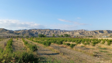 200 sot Torpaq, Satış, Göyçay