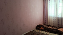 3 otaqlı Köhnə tikili, Satış, Sumqayıt